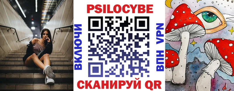 купить наркотик  omg ТОР  Псилоцибиновые грибы GOLDEN TEACHER  Барнаул 